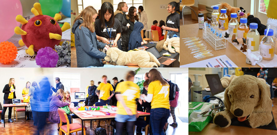 Photos of previous Cambridge Festivals at the Department of Veterinary Medicine