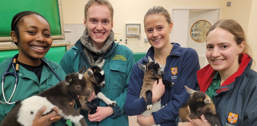 Vet school students holding goats