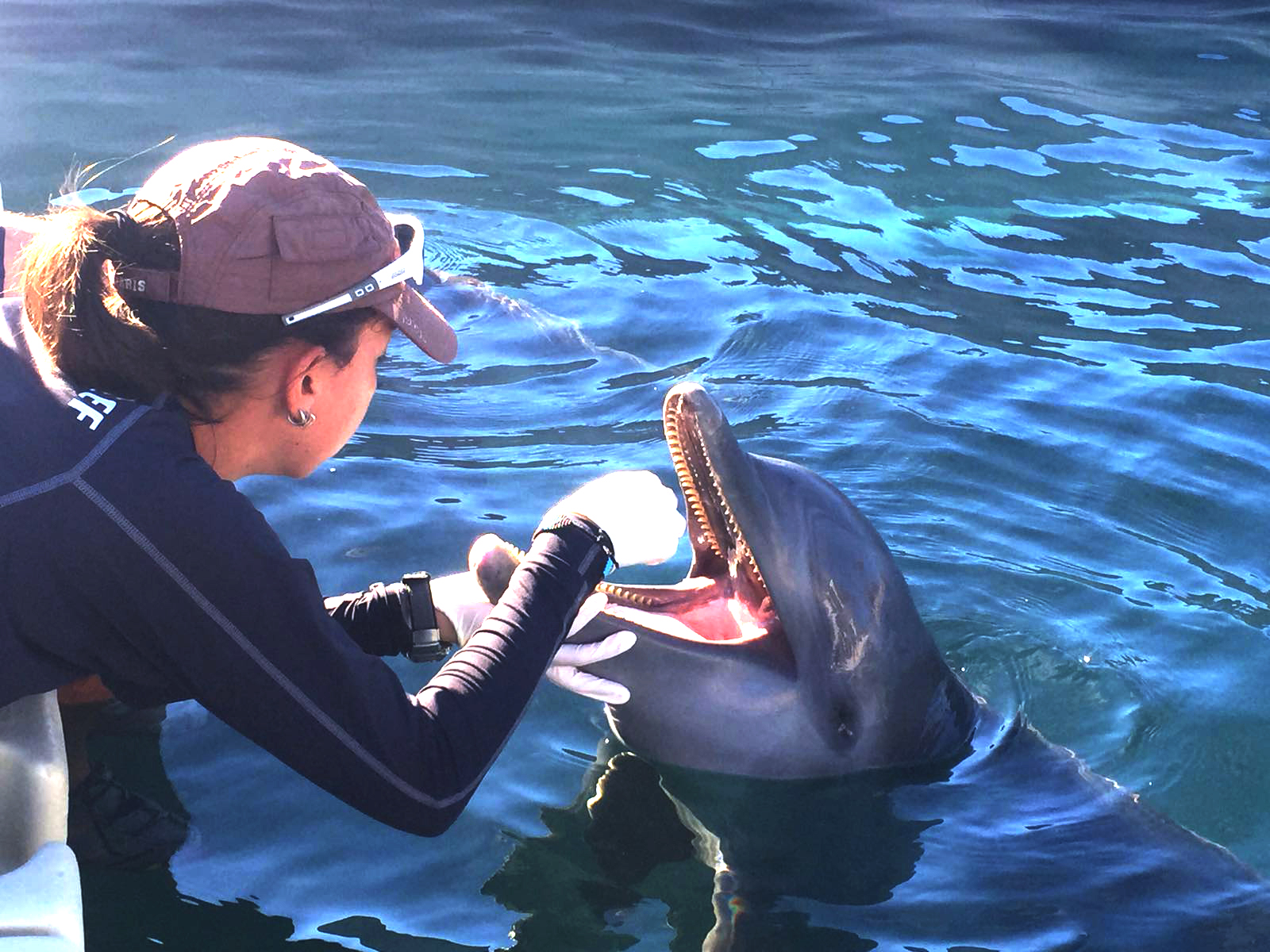 PhD student Cristina Acasuso Rivero carrying out field work for her project on bottlenose dophins PhD student Cristina Acasuso Rivero carrying out field work for her project on bottlenose dophins