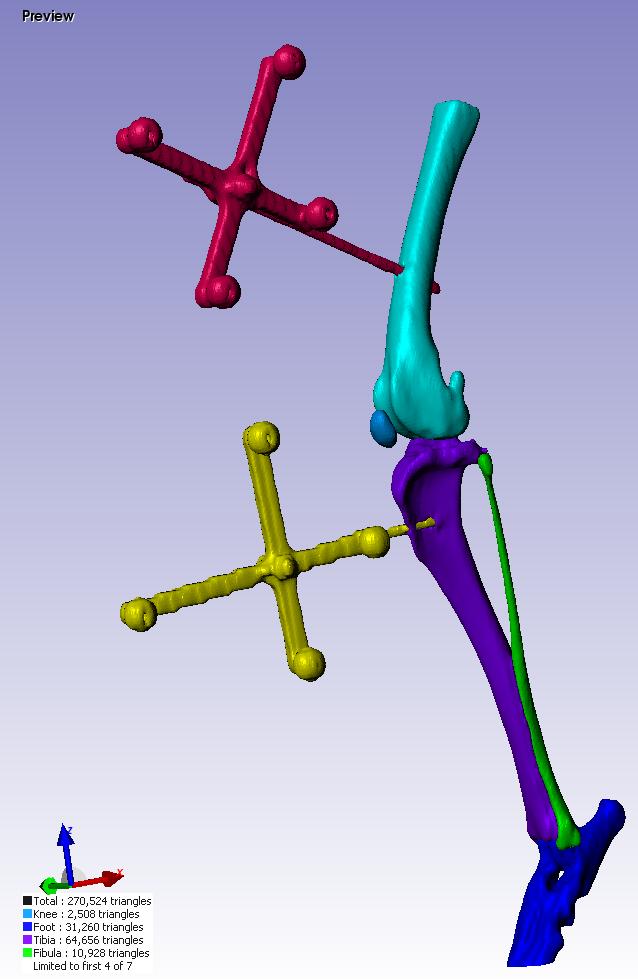 3D model of the hind limb of the dog. Real-time tracking of bone and joint motion underpins our work in joint biomechanics. 3D model of the hind limb of the dog. Real-time tracking of bone and joint motion underpins our work in joint biomechanics.