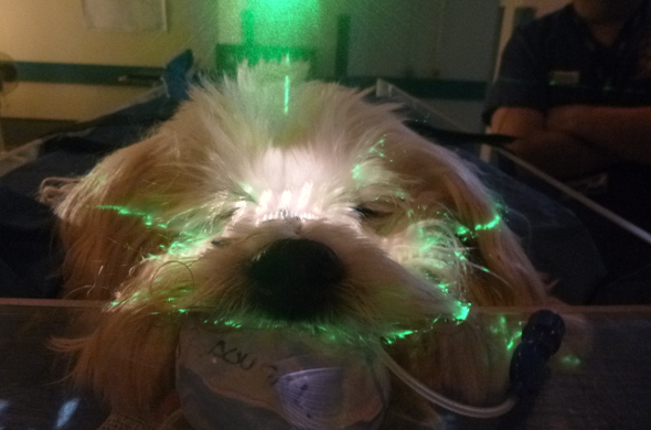  Radiation treatment set up 