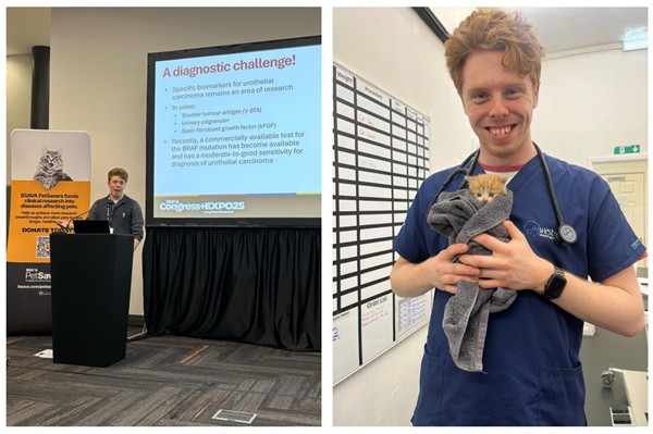 I currently work in first opinion companion animal practice in Newcastle, seeing a wide range of presentations – from coughing cats to dogs with diarrhoea, and everything in-between.