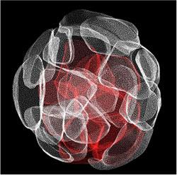 01 2 zernicka stem cells