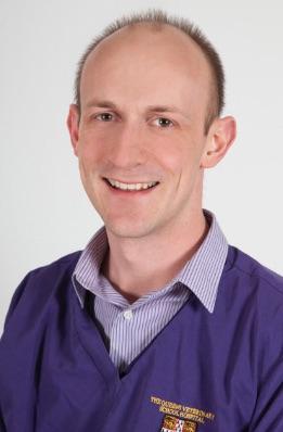 Grant awarded to Dr Tim Williams to identify biomarkers of bladder cancer in dogs