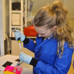 Preparing samples for PCR