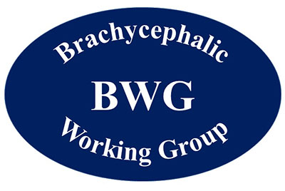 BWG logo original