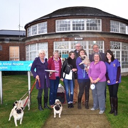2016 Meeting with Pug Dog Club to discuss the health scheme for the breed