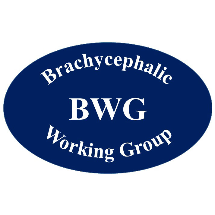 BWG logo square