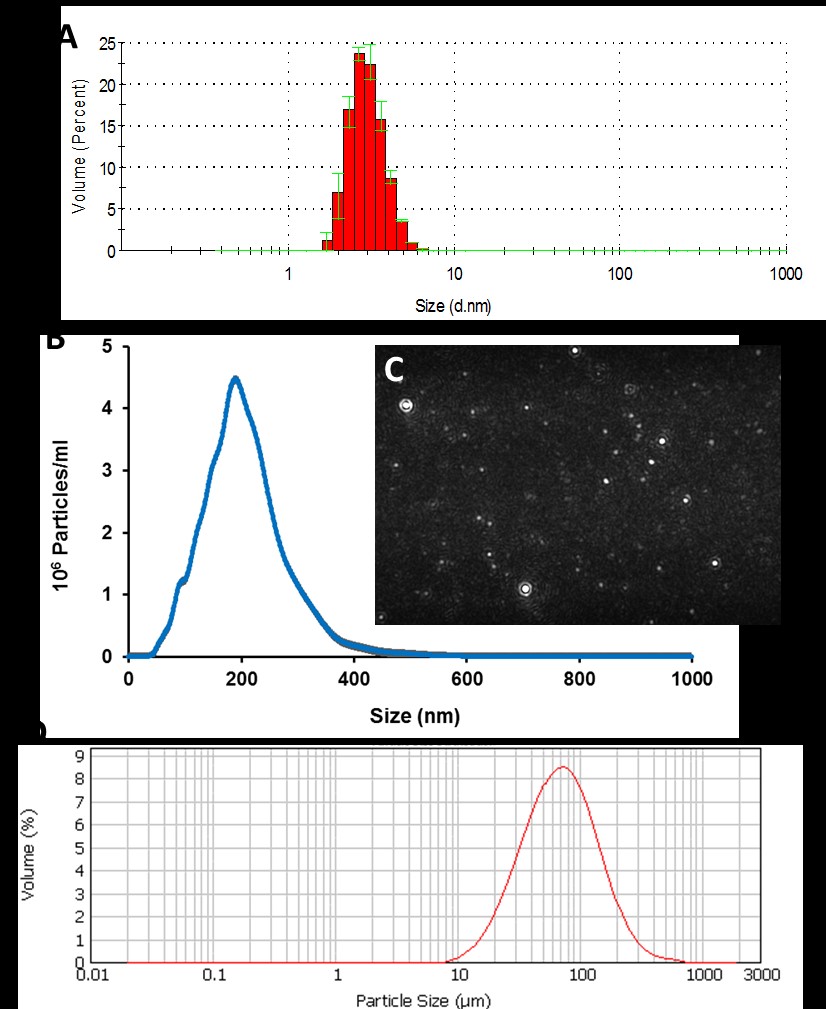     Assessing particle size distributions correctly relies on a suite of techniques since no single technique can cover the full range. Small biological assemblies or nanoparticles (1 to 70-80 nm) are best determined through dynamic light scattering (A: b