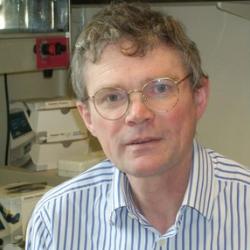 Professor John  Gibson